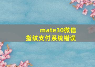 mate30微信指纹支付系统错误