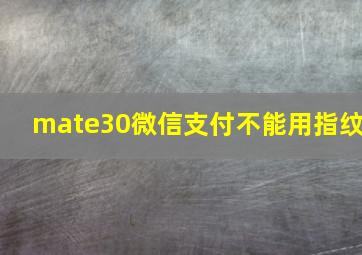 mate30微信支付不能用指纹