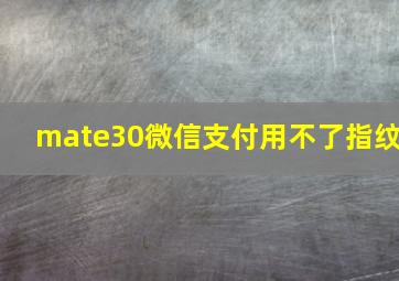 mate30微信支付用不了指纹