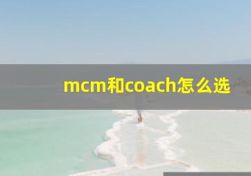 mcm和coach怎么选