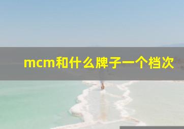 mcm和什么牌子一个档次