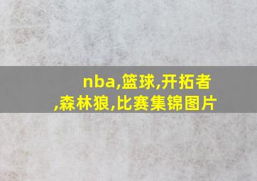 nba,篮球,开拓者,森林狼,比赛集锦图片