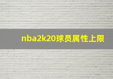 nba2k20球员属性上限