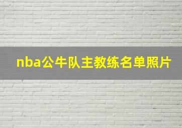 nba公牛队主教练名单照片