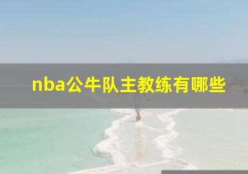 nba公牛队主教练有哪些