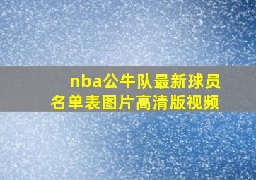 nba公牛队最新球员名单表图片高清版视频