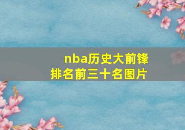 nba历史大前锋排名前三十名图片