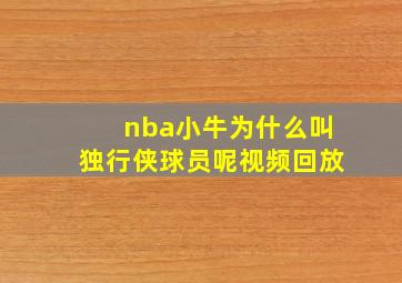 nba小牛为什么叫独行侠球员呢视频回放