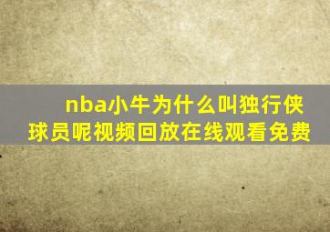 nba小牛为什么叫独行侠球员呢视频回放在线观看免费