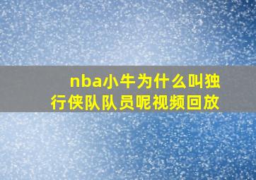 nba小牛为什么叫独行侠队队员呢视频回放