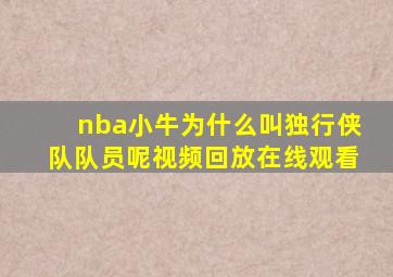 nba小牛为什么叫独行侠队队员呢视频回放在线观看