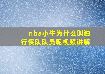 nba小牛为什么叫独行侠队队员呢视频讲解