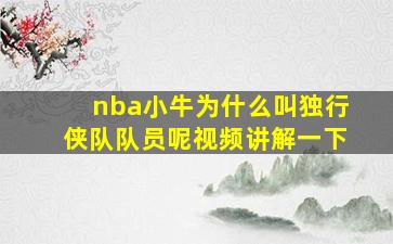 nba小牛为什么叫独行侠队队员呢视频讲解一下