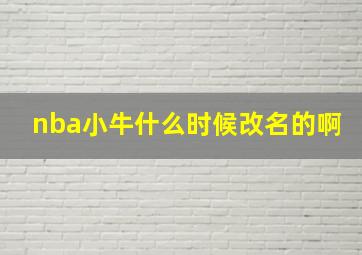 nba小牛什么时候改名的啊