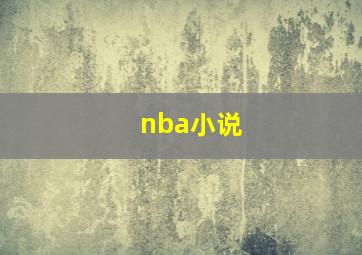 nba小说