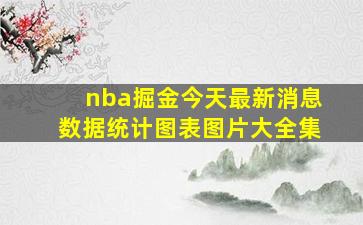 nba掘金今天最新消息数据统计图表图片大全集