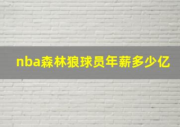 nba森林狼球员年薪多少亿