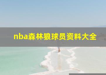 nba森林狼球员资料大全