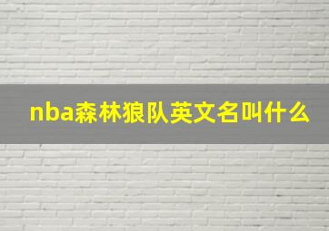 nba森林狼队英文名叫什么