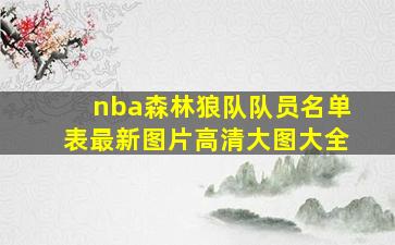 nba森林狼队队员名单表最新图片高清大图大全