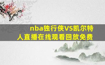 nba独行侠VS凯尔特人直播在线观看回放免费