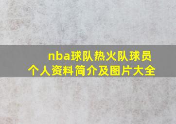 nba球队热火队球员个人资料简介及图片大全