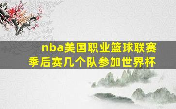 nba美国职业篮球联赛季后赛几个队参加世界杯