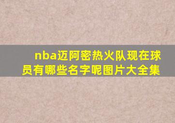 nba迈阿密热火队现在球员有哪些名字呢图片大全集