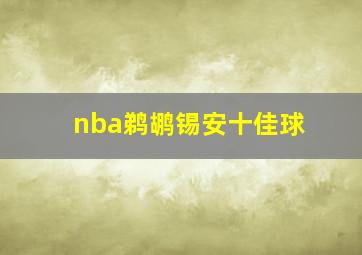 nba鹈鹕锡安十佳球