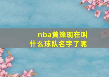 nba黄蜂现在叫什么球队名字了呢