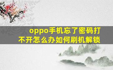 oppo手机忘了密码打不开怎么办如何刷机解锁