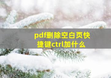 pdf删除空白页快捷键ctrl加什么