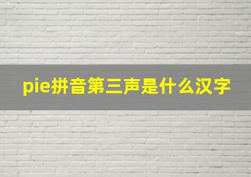 pie拼音第三声是什么汉字