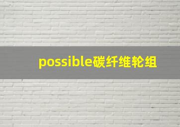 possible碳纤维轮组