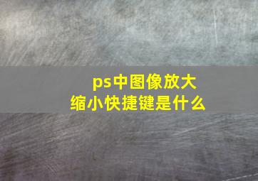 ps中图像放大缩小快捷键是什么