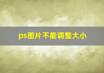 ps图片不能调整大小