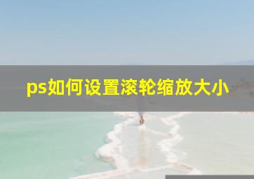 ps如何设置滚轮缩放大小