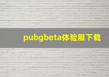 pubgbeta体验服下载