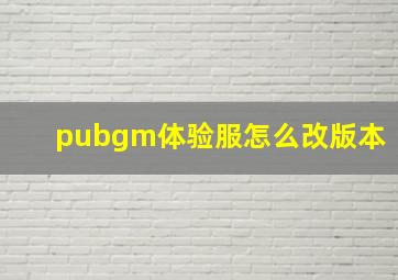 pubgm体验服怎么改版本