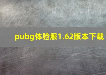 pubg体验服1.62版本下载