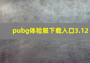 pubg体验服下载入口3.12