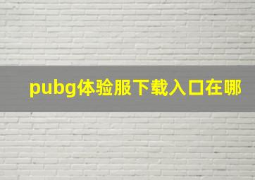 pubg体验服下载入口在哪