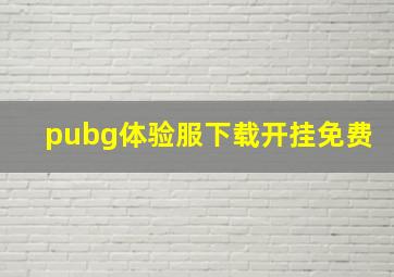 pubg体验服下载开挂免费