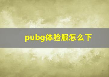 pubg体验服怎么下