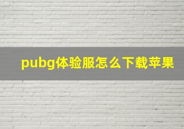 pubg体验服怎么下载苹果