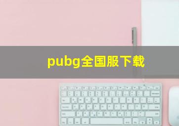 pubg全国服下载