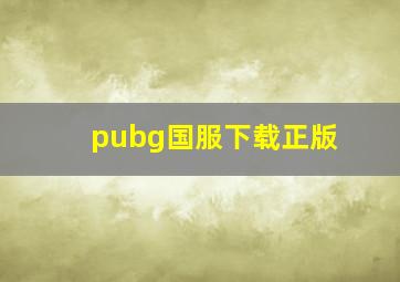 pubg国服下载正版