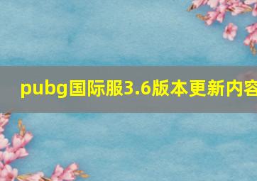 pubg国际服3.6版本更新内容