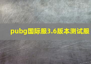 pubg国际服3.6版本测试服