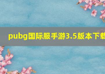 pubg国际服手游3.5版本下载